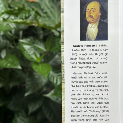 Sách- Bà Bovary- Tiểu Thuyết- 2HBooks