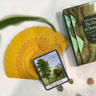 Cách sử dụng Bộ bài Wisdom of Trees Oracle - Bản Quyền