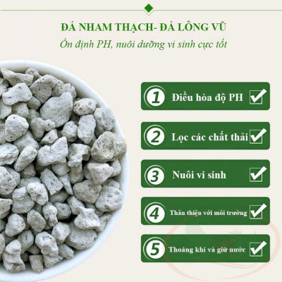 Đá lông vũ nham thạch trắng Turkey Pumice lót trải nền lọc nước bể cá tép thủy sinh