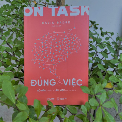 On Task - Đúng Việc - Bộ Não Chúng Ta Làm Việc Như Thế Nào?