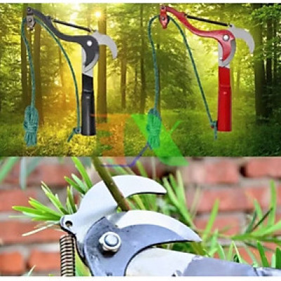 1 ĐẦU KÉO CẮT TỈA CÀNH CÂY HÁI HOA QUẢ TRÊN CAO ĐA NĂNG THUẬN TIỆN CHO MỌI NHÀ