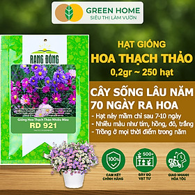 Hạt Giống Hoa Thạch Thảo Greenhome, Gói 0.2gr~250 hạt, Dễ Trồng Quanh Năm, Tỷ Lệ Nảy Mầm Cao H14