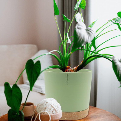 Chậu trồng cây tự tưới thông minh MONROVIA cho hoa, cây cảnh trong nhà và ngoài trời hình trụ tròn