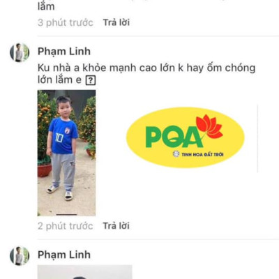 Phế Quản Người Lớn PQA Hỗ Trợ Thanh Họng, Giảm Viêm Phế Quản, Hen Suyễn, Ho Nhiều Hộp 250ml