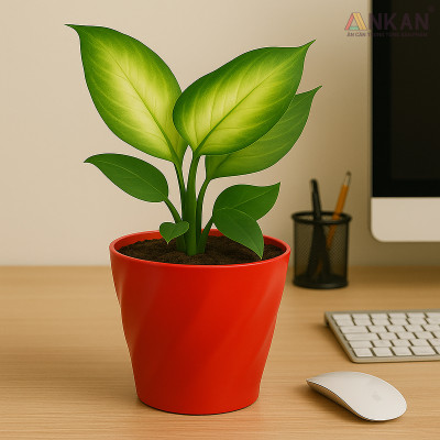 Chậu nhựa xoắn trồng cây ANKAN cho hoa hồng, cây cảnh mini, trồng rau, để bàn, treo ban công