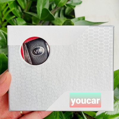 Chốt Cài Dây An Toàn Ô Tô Loại Cao Cấp VIP Cho Các Dòng Xe