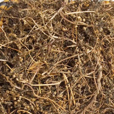 Trà Cây bạch hoa xà thiệt thảo ( Bạch hoa xà thiệt thảo khô )- Sản phẩm hữu cơ tự nhiên