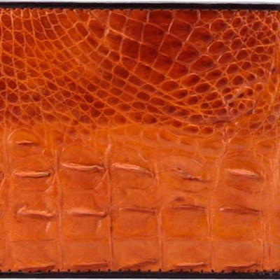 Ví Nam Da Cá Sấu Gai Lưng Huy Hoàng HT2212 (12.5 x 10 cm) - Vàng