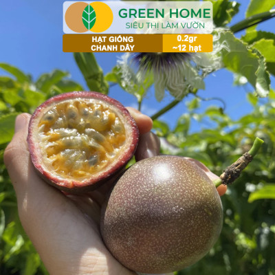 Hạt Giống Chanh dây Greenhome, Gói 0,2g~12 hạt, Dễ Trồng Quanh Năm,Thu Hoạch Nhanh, Năng Suất Cao T21