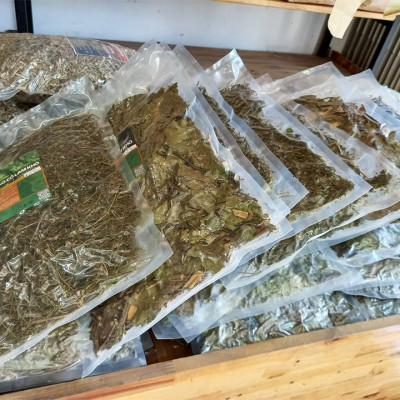 Cây Xạ Đen Shop Thảo Dược - Xạ Đen Mát Gan, Ổn Định Huyết Áp