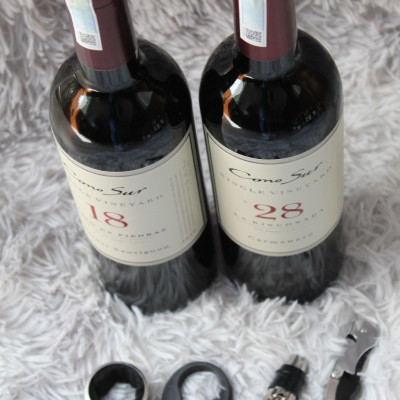 RƯỢU VANG ĐỎ CHILE SINGLE VINYARD 28 CARMENERA