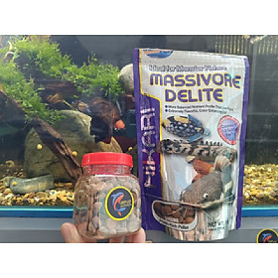 Thức ăn HIKARI MASSIVORE DELITE - Thức ăn chuyên dụng cho cá tầng đáy - Pleco - Cá săn mồi - Cám Hikari - cám Nhật
