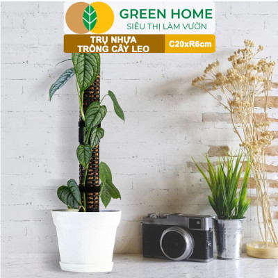 Trụ nhựa trồng cây, D20xR6cm, nhựa cứng, có khớp dễ nối dài, chuyên hệ cây leo, trầu bà, kiểng lá |Greenhome