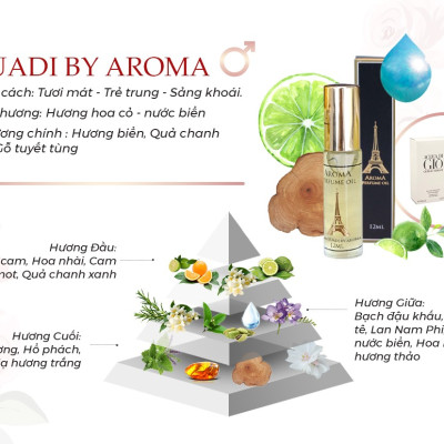 Aroma Aquadi Giò – Tinh Dầu Nước Hoa Pháp Dạng Lăn 12ml