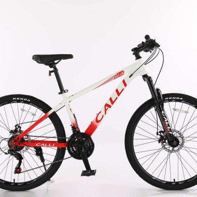 Xe đạp thể thao CALLI M350 Khung thép cường lực cao cấp