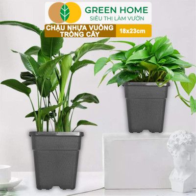 5 Chậu Vuông Trồng Cây Greenhome, Nhiều Kích Thước, Nhựa Cứng, Thoát Nước Tốt, Trồng Hoa, Kiểng Lá