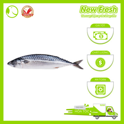 Cá Saba Nauy Nguyên Con - Túi 1Kg
