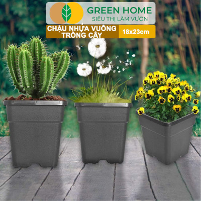 5 Chậu Vuông Trồng Cây Greenhome, Nhiều Kích Thước, Nhựa Cứng, Thoát Nước Tốt, Trồng Hoa, Kiểng Lá