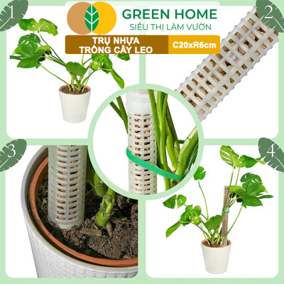 Trụ nhựa trồng cây, D20xR6cm, nhựa cứng, có khớp dễ nối dài, chuyên hệ cây leo, trầu bà, kiểng lá |Greenhome