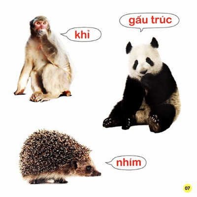 100 Từ Đầu Đời Của Bé