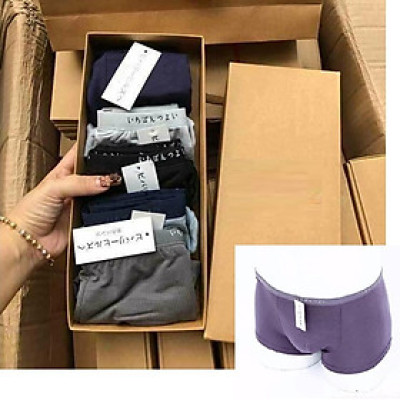 Bộ 5 Quần Lót Nam Đùi Xuất Nhật Chất Mát (Màu Ngẫu Nghiên)