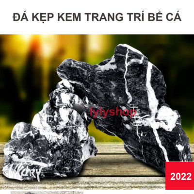 10KG Đá Kẹp Kem Thủy Sinh (Size 4-25cm) | Trang Trí Bể Cá, Non Bộ May Mắn