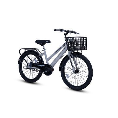 Xe đạp Thống Nhất GN 06-20 (Dành cho trẻ từ 5 - 10 tuổi)