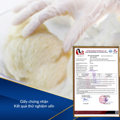 Viên uống yến sào sức khoẻ Nest Healthy