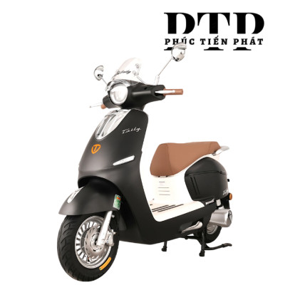 Xe Máy Điện TAILG R71