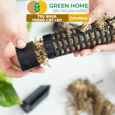 Trụ nhựa trồng cây, D20xR6cm, nhựa cứng, có khớp dễ nối dài, chuyên hệ cây leo, trầu bà, kiểng lá |Greenhome