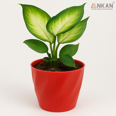 Chậu nhựa xoắn trồng cây ANKAN cho hoa hồng, cây cảnh mini, trồng rau, để bàn, treo ban công