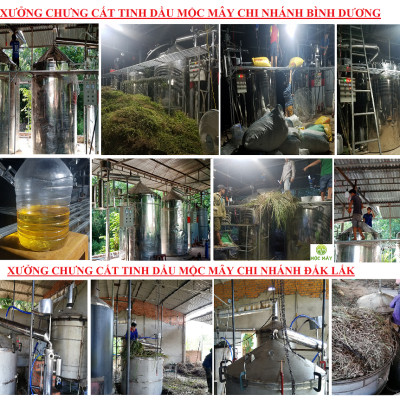 Tinh dầu Quế 50ml nguyên chất từ thiên nhiên - Mộc Mây