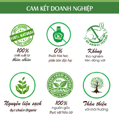 Tinh dầu Cà Phê (Coffee) nguyên chất từ thiên nhiên, xông phòng, khử mùi, đuổi muỗi, thơm phòng - KingOil
