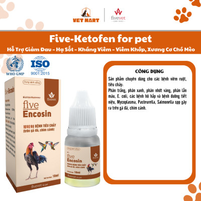 Five-EnCosin Hỗ Trợ Tiêu Hóa Giảm Tiêu Chảy Gà Đá, Chim Cảnh An Toàn, Hiệu Quả