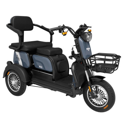 XE 3 BÁNH ĐIỆN VICTORY V8