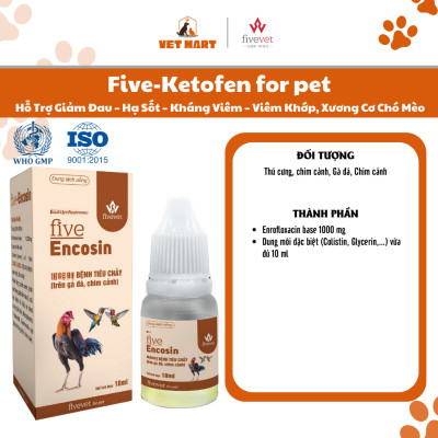 Five-EnCosin Hỗ Trợ Tiêu Hóa Giảm Tiêu Chảy Gà Đá, Chim Cảnh An Toàn, Hiệu Quả