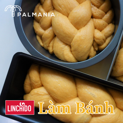 [ COMBO 5 GÓI ] Mật thốt nốt bột PALMANIA | Nguyên Chất, Tự Nhiên (300 GRAM)