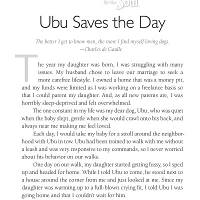 Chicken Soup For The Soul: The Dog Did What?: 101 Amazing Stories Of Magical Moments, Miracles And... Mayhem