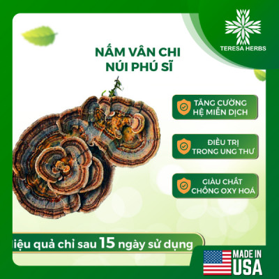 Combo viên uống thảo dược (kết hợp Đông Trùng Hạ Thảo + Nấm Vân Chi) - Giúp Bổ phổi, Bổ Thận, Tăng cường đề kháng và hệ miễn dịch