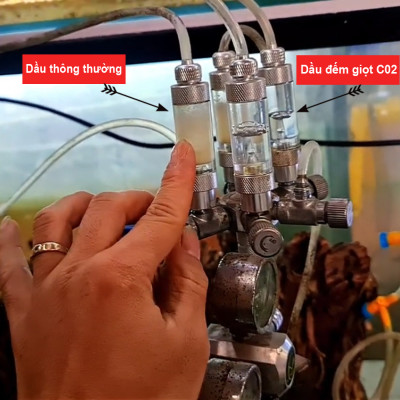 Dầu đếm giọt CO2 Mufan 20ML: Không đông, trong suốt, an toàn cho hồ thủy sinh