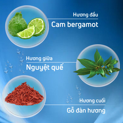 Nuoc hoa adopt,nước hoa pháp cao cấp L