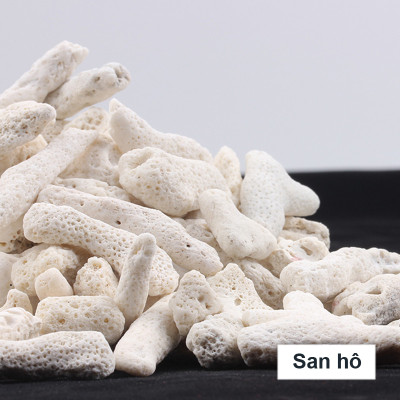 5KG San Hô Vụn vật liệu lọc hồ cá, trang trí bể cá, hồ thủy sinh cao cấp 