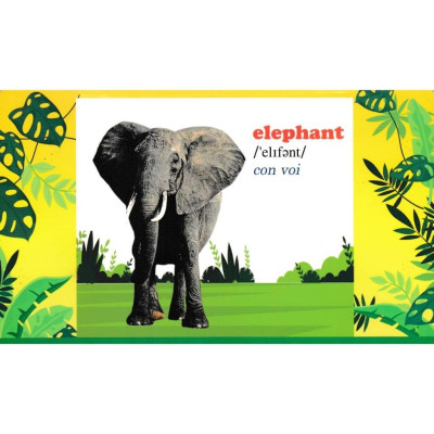 Sách - Bộ Thẻ Học Tiếng Anh - Phát Triển Trí Tuệ Cho Trẻ - Động Vật Hoang Dã - Hồng Ân