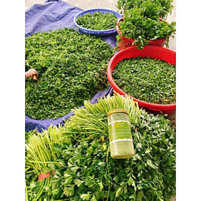 Bột cần tây nguyên chất sấy lạnh (200gr)