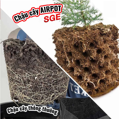 Chậu Cây Air Pot Làm Từ Nhựa HDPE Và Không Dễ Bị Vỡ, Dễ Sử Dụng, Tái Sử Dụng Đơn Giản, Thân Thiện Với Môi Trường SGE