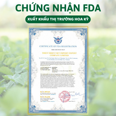 Bột Trà Xanh Sấy Lạnh Nguyên Chất Quảng Thanh Hộp 45g  - Đắp mặt làm dịu da, kháng khuẩn, kháng viêm, giảm cân