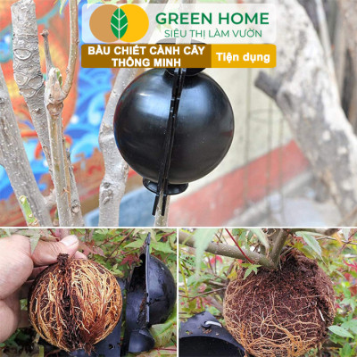 Bầu Chiết Cành Greenhome, Dụng Cụ Làm Vườn, Tăng Khả Năng Ra Rễ, Chống Úng Cành Chiết, Độ Bền Đến 2 Năm, Dễ Sử Dụng