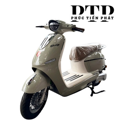Xe Máy Điện TAILG R71