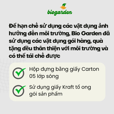 Bột matcha hữu cơ (hạng A) 100gr - Dragon Superfoods