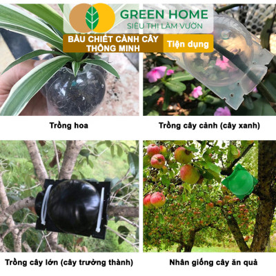 Bầu Chiết Cành Greenhome, Dụng Cụ Làm Vườn, Tăng Khả Năng Ra Rễ, Chống Úng Cành Chiết, Độ Bền Đến 2 Năm, Dễ Sử Dụng